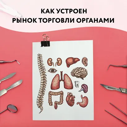 Красный рынок: как устроена торговля всем, из чего состоит человек - фото 14