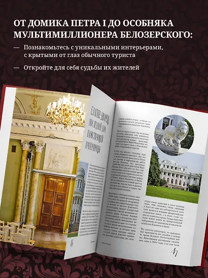 Парадный Петербург: история особняков и дворцов Северной Венеции - фото 5