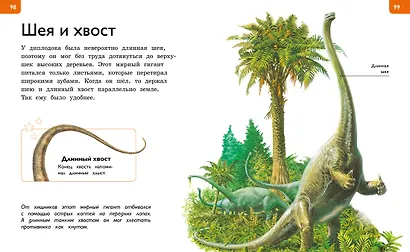 Новая энциклопедия для любознательных - фото 7