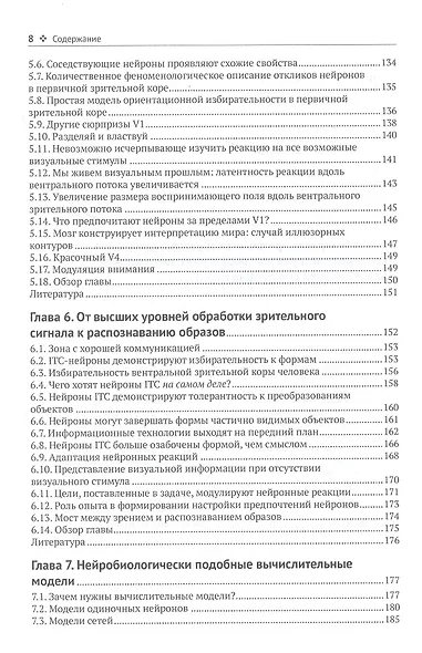 Биологическое и компьютерное зрение - фото 4