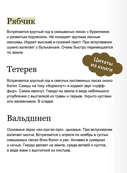 Птицы леса. Артбук - фото 7