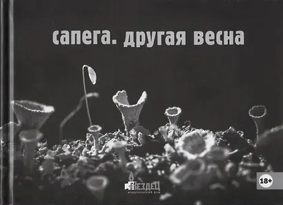 Другая весна - фото 1