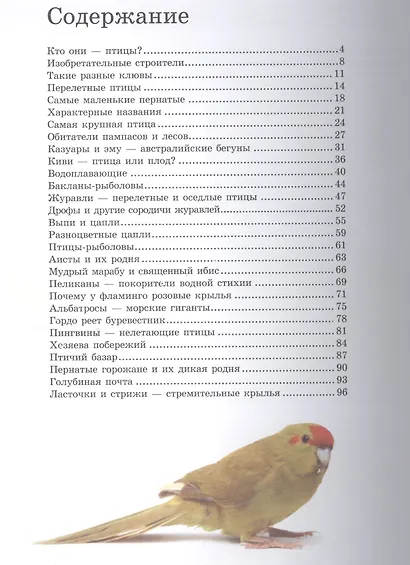 Птицы - фото 2