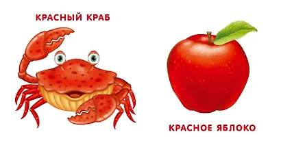 Книжки - картонки. Мои первые цвета - фото 2