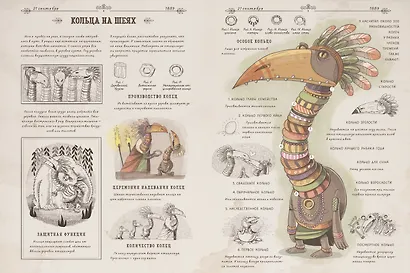 Затерянный остров - фото 4