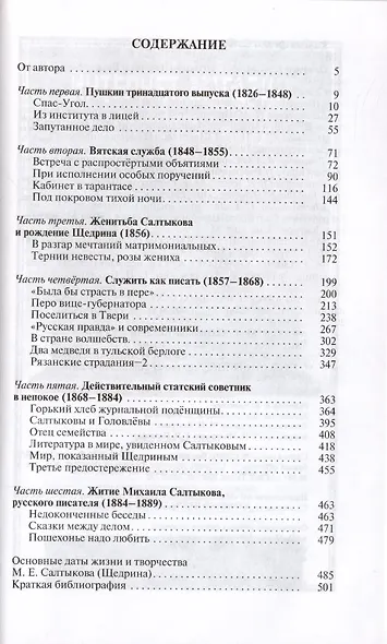 Салтыков (Щедрин): Генерал без орденов - фото 2