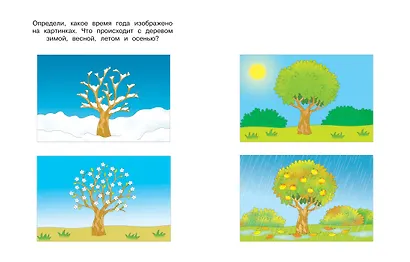 Веселые часы (4-5 лет) - фото 10