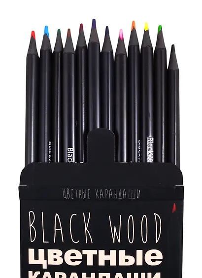 Карандаши цветные Bruno Visconti, BlackwoodColor, 12 цветов, в ассортименте - фото 4