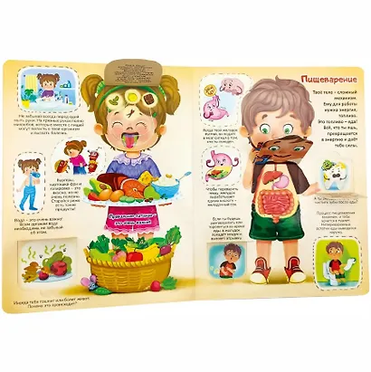 Моя первая анатомия. Книжка с окошками - фото 4