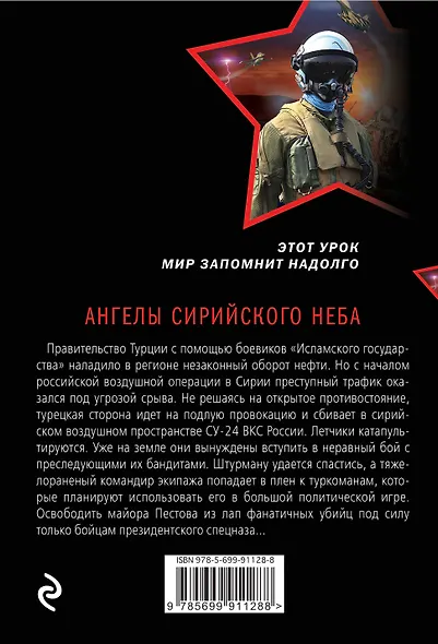 Ангелы сирийского неба - фото 2
