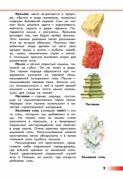 От земли до неба. Атлас-определитель. 1-4 класс. ФГОС 2021 - фото 7