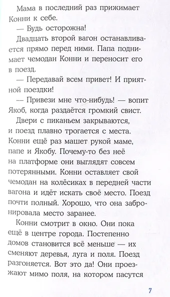 Приключения в большом городе - фото 4