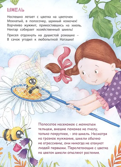 В небе и на земле - фото 3