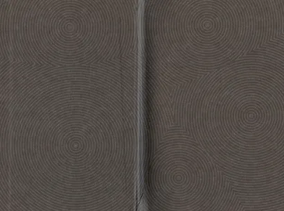 Шутовские иллюзии - фото 4