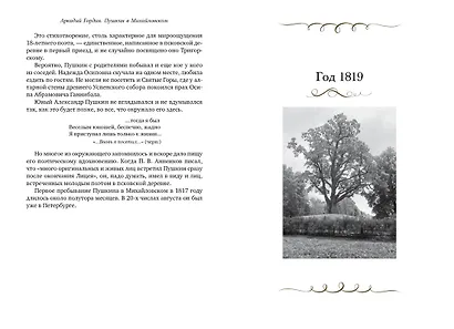 Пушкин в Михайловском - фото 10