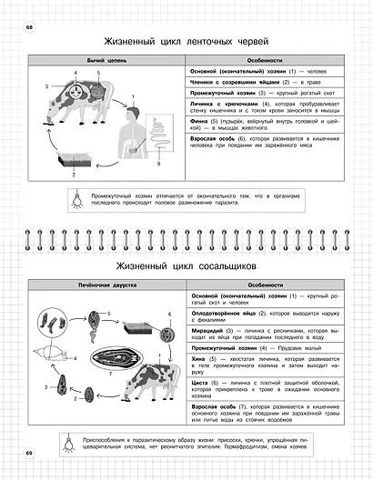 Биология. 5-11 классы. Школьный курс в наглядных таблицах - фото 5