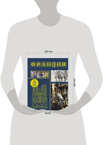 Франция. Полная история (подарочное издание) - фото 4