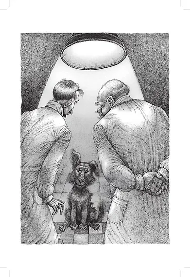 Собачье сердце: повести - фото 3