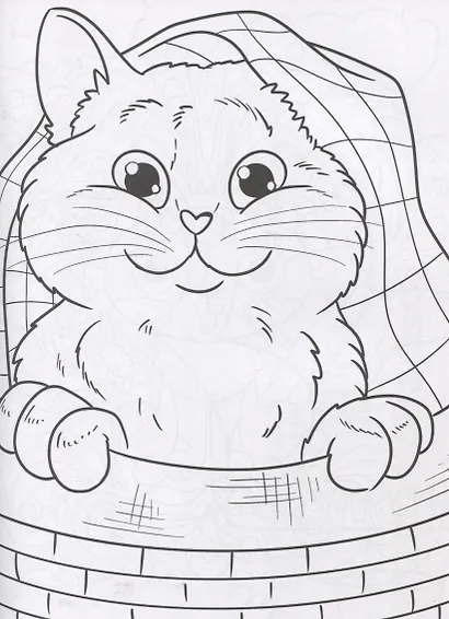 РАСКРАСКА ДЛЯ ФАНАТОВ. ДЛЯ ФАНАТОВ КОТИКОВ - фото 4