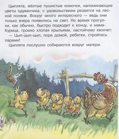 Пропал Петя-петушок - фото 2