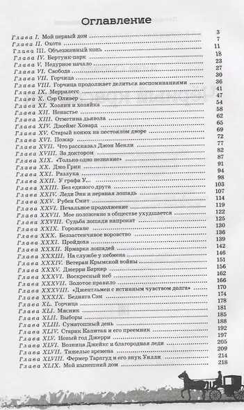 Черный Красавчик - фото 6