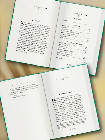 Желанная страна - фото 6