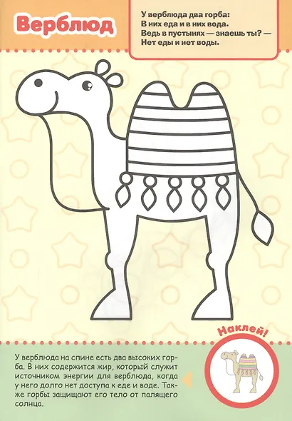 Первая раскраска с заданиями. Дикие животные - фото 5