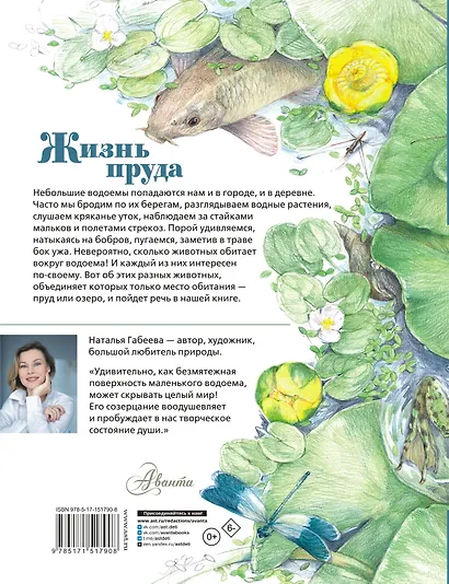 Жизнь пруда - фото 2