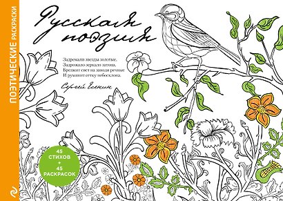 Русская поэзия. Поэтические раскраски - фото 1