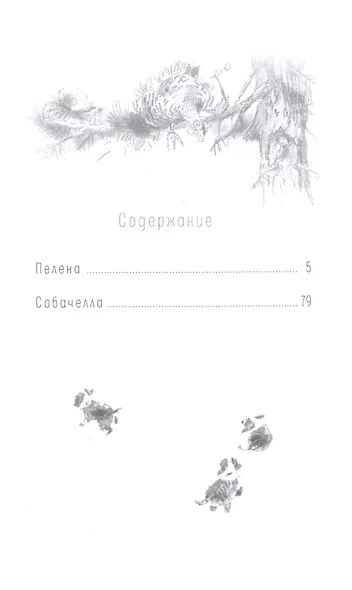 Пелена. Собачелла: повести - фото 2