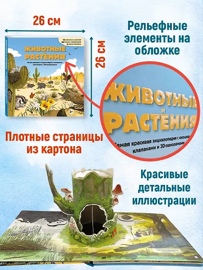 Животные и растения. Самая красивая энциклопедия с окошками, клапанами и 3D-панорамами - фото 6