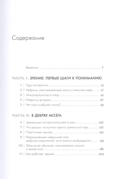 Как мы видим? Нейробиология зрительного восприятия - фото 2