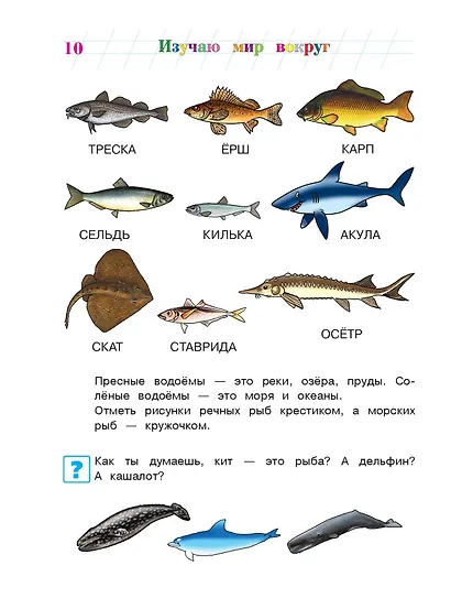 Изучаю мир вокруг: для детей 5-6 лет. Ч. 2 - фото 15