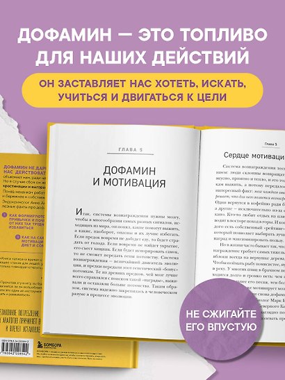 Мозг на дофамине. Как работа главной молекулы мотивации влияет на ваше физическое и психическое здоровье - фото 5