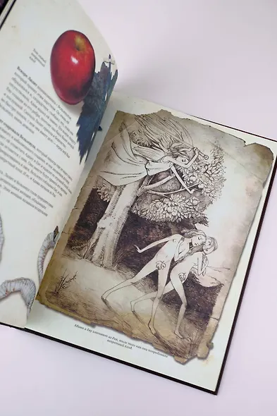 Гримуар колдуний с иллюстрациями Бенжамена Лакомба - фото 13