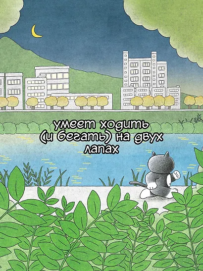 Пушистый шеф - фото 9