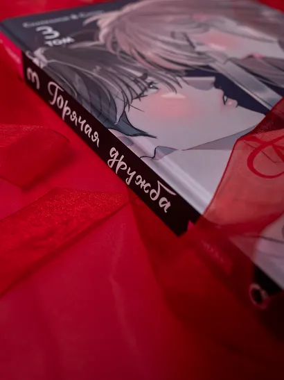 Горячая дружба. Том 3 (Грязная дружба / Friendship, The Impure Type). Манхва - фото 8