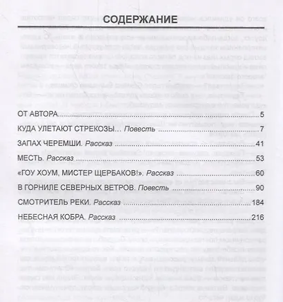 Смотритель реки: повести, рассказы - фото 2