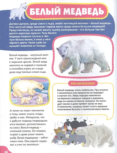 Животные для самых маленьких - фото 5