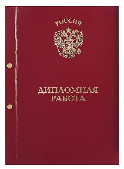 Обложка "Дипломный проект" ассорти, 2 отверстия, бумвинил - фото 2