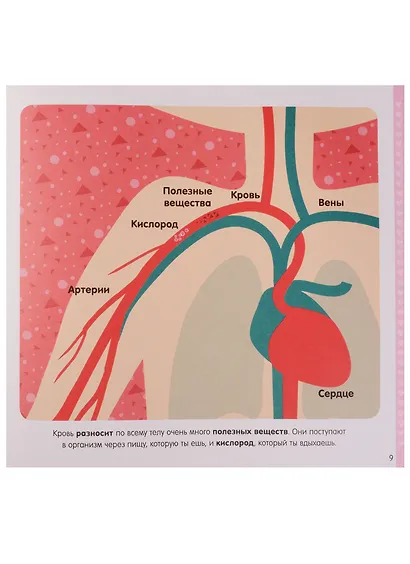 Первая энциклопедия для маленьких гениев. Почему? - фото 4