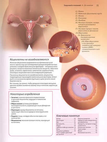 Здоровый и сильный - фото 5