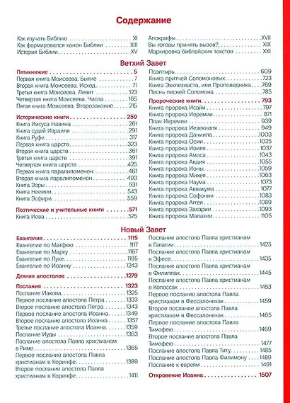 Библия для молодежи (бордовая) - фото 2