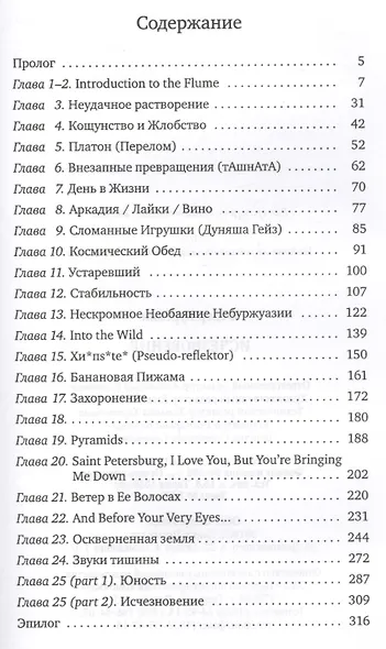 Исчезновение: роман - фото 2