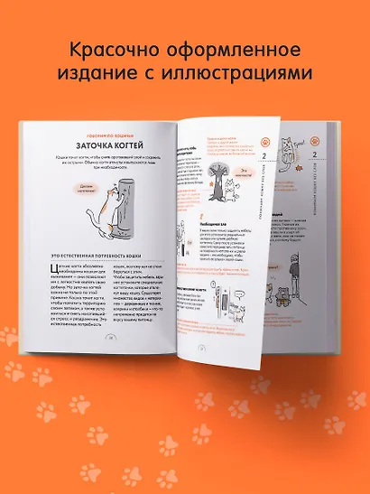 Чего хотят кошки. Японский бестселлер по воспитанию усатых малышей - фото 7