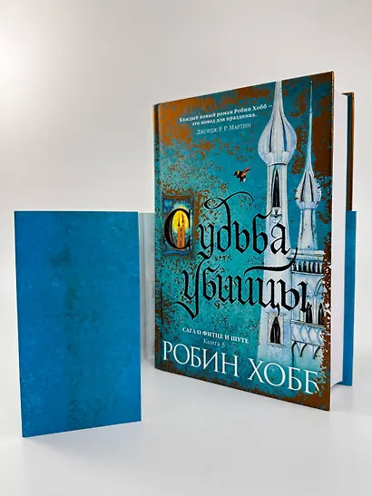 Сага о Фитце и Шуте. Книга 3. Судьба убийцы - фото 7