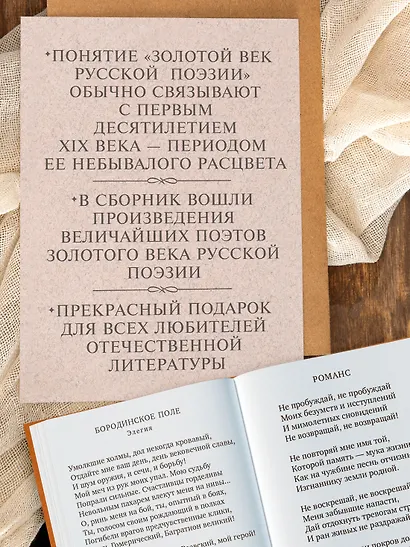 Золотой век русской поэзии - фото 5