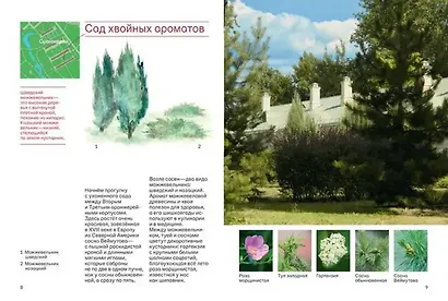 Прогулки в Царицыне с натуралистом - фото 3