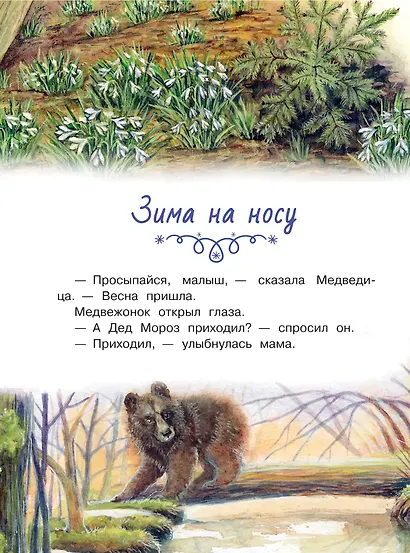 Сказки снежного леса - фото 8