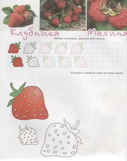 Фрукты-ягоды. Познавательные прописи. Для детей 4-6 лет - фото 2